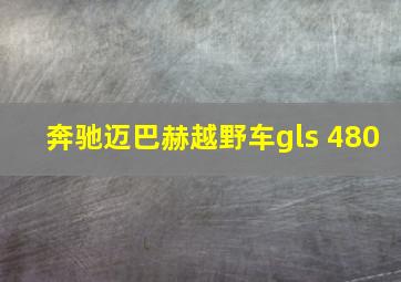 奔驰迈巴赫越野车gls 480